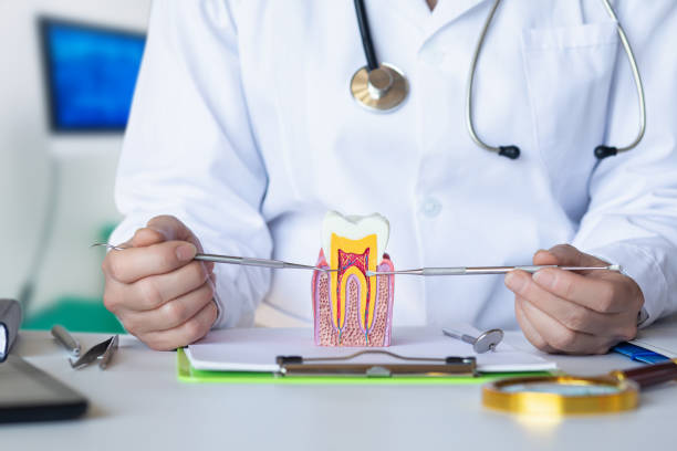 Best Emergency Root Canal Treatment in South Oroville, CA